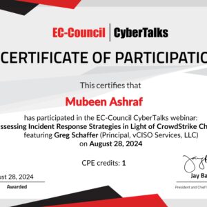 Reassessing Incident Response Strategies in Light of CrowdStrike Challenges