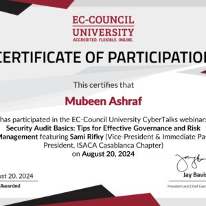 Security Audit Basics - Tips for Effective Governance and Risk Management